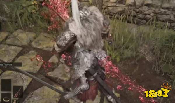 艾尔登法环如何双手拿武器 双手持剑方法分享