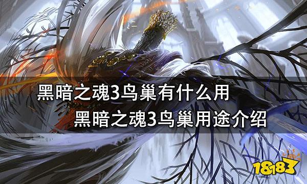 黑暗之魂3鸟巢有什么用 黑暗之魂3鸟巢用途介绍