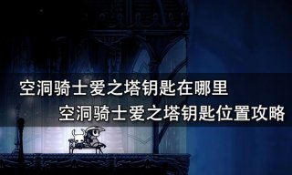 空洞骑士爱之塔钥匙在哪里 空洞骑士爱之塔钥匙位置攻略