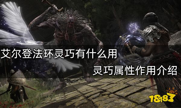 艾尔登法环灵巧有什么用 灵巧属性作用介绍
