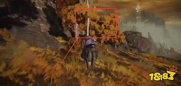 艾尔登法环古龙在哪 古龙详细位置分享