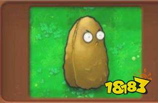 植物大战僵尸坚果愈合术怎么用 植物大战僵尸坚果愈合术用法