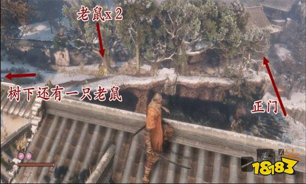 只狼哪里能刷钱和技能点 只狼能刷钱和技能点的地方