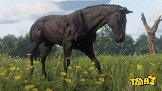 荒野大鏢客2純種馬怎么樣 純種馬屬性大全