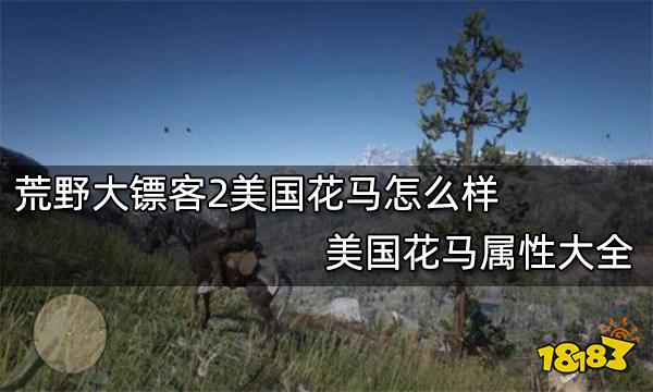 荒野大镖客2美国花马怎么样 美国花马属性大全