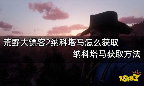 荒野大镖客2纳科塔马怎么获取 纳科塔马获取方法