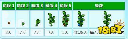 星露谷物语上古种子怎么种 星露谷物语上古种子种植教学