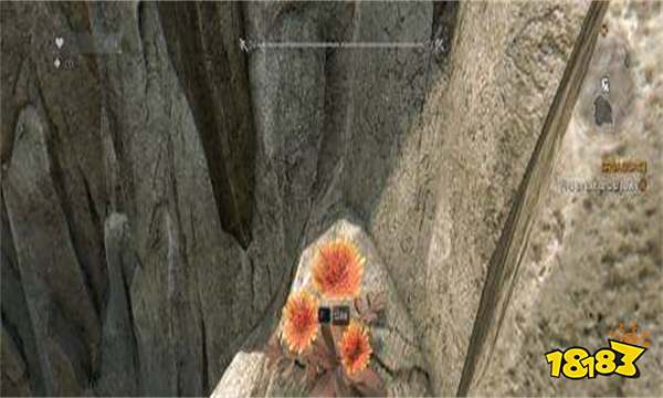 消逝的光芒植物大战僵尸彩蛋在哪 消逝的光芒植物大战僵尸彩蛋位置分享