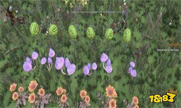 消逝的光芒植物大战僵尸彩蛋在哪 消逝的光芒植物大战僵尸彩蛋位置分享