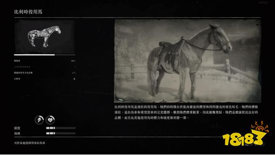 荒野大鏢客2比利時役用馬怎么樣 比利時役用馬屬性大全