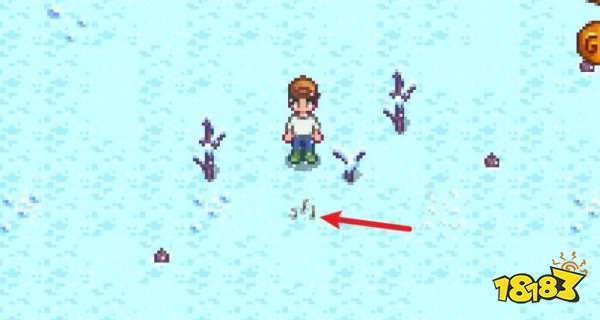 星露谷物语远古种子怎么获得 星露谷物语远古种子获得方法介绍