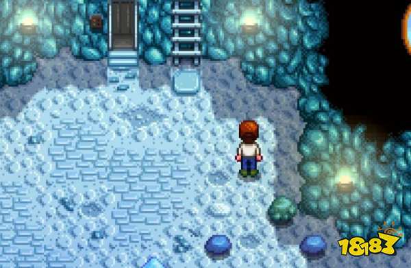 星露谷物语远古种子怎么获得 星露谷物语远古种子获得方法介绍