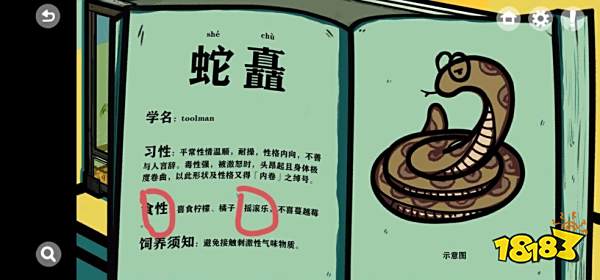 真正无广告的良心手游,9.4分解谜游戏《房间的秘密》强烈推荐