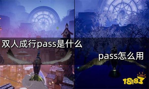 双人成行pass是什么 pass怎么用