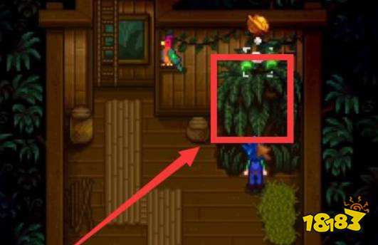 星露谷物语金色核桃在哪收集 星露谷物语金色核桃全部位置介绍