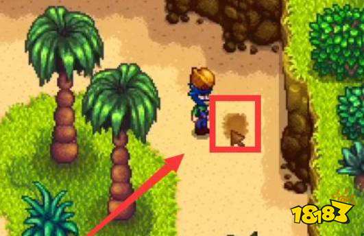 星露谷物语金色核桃在哪收集 星露谷物语金色核桃全部位置介绍