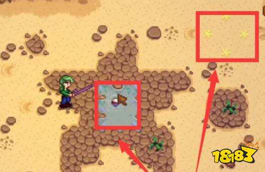 星露谷物语金色核桃在哪收集 星露谷物语金色核桃全部位置介绍