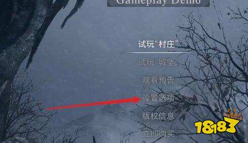生化危機8畫面怎么設置 畫面設置分享