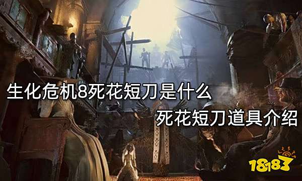 生化危机8死花短刀是什么 死花短刀道具介绍
