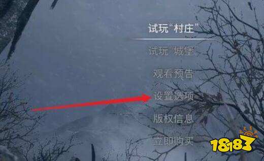 生化危機(jī)8怎么全屏 游戲設(shè)置分享