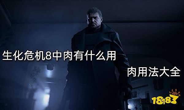 生化危机8中肉有什么用 肉用法大全