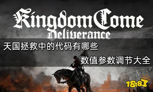 天国拯救中的代码有哪些 设置数值参数调节大全