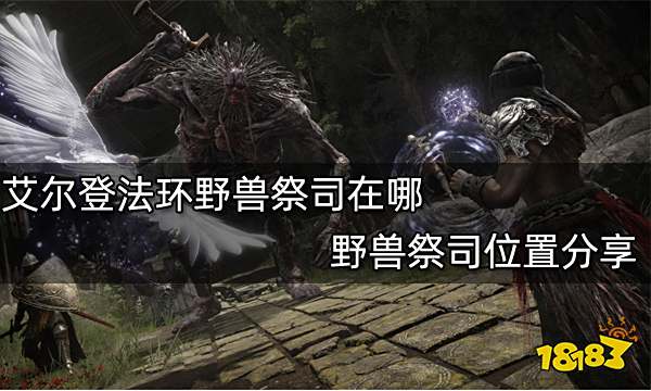艾尔登法环野兽祭司在哪 野兽祭司位置分享