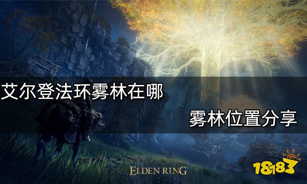 艾尔登法环雾林在哪 雾林位置分享