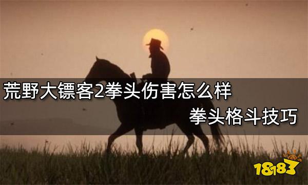 荒野大镖客2拳头伤害怎么样 拳头格斗技巧