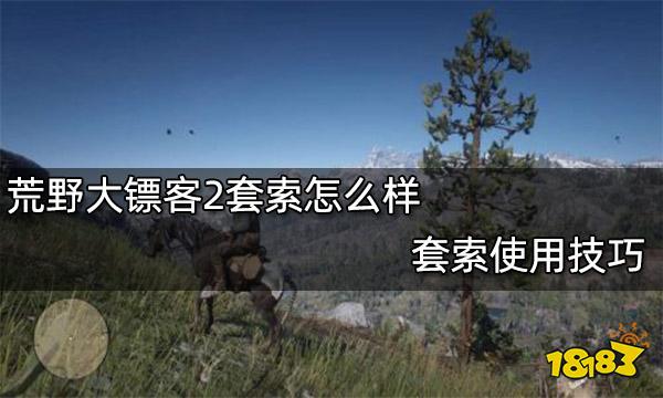 荒野大镖客2套索怎么样 套索使用技巧
