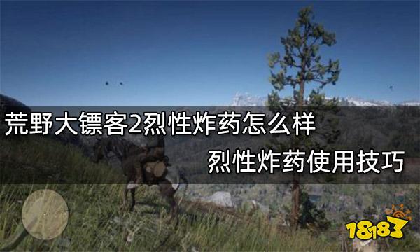 荒野大镖客2烈性炸药怎么样 烈性炸药使用技巧