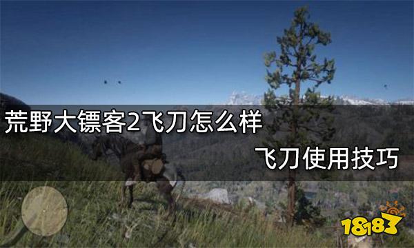 荒野大镖客2飞刀怎么样 飞刀使用技巧