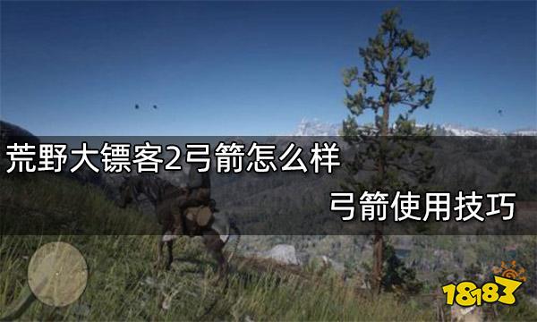 荒野大镖客2弓箭怎么样 弓箭使用技巧