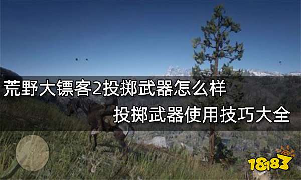 荒野大镖客2投掷武器怎么样 投掷武器使用技巧大全