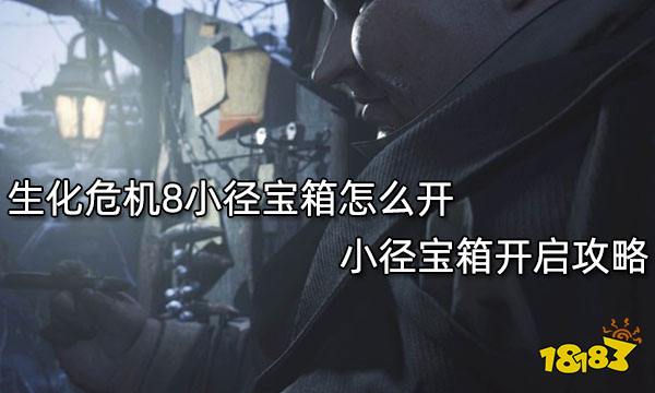 生化危机8小径宝箱怎么开 小径宝箱开启攻略