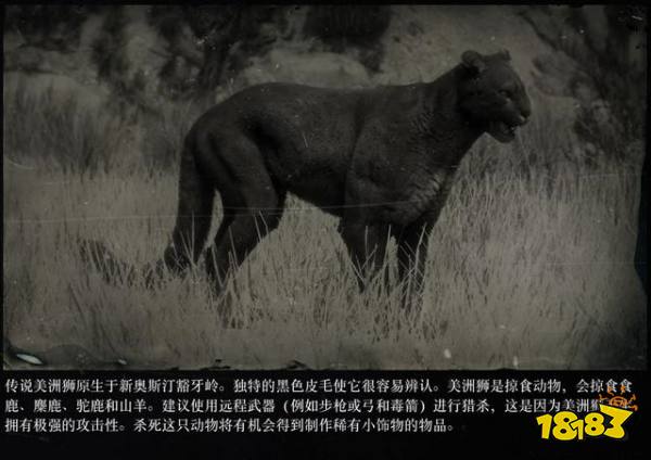 荒野大鏢客2傳說動物圖鑒 傳說動物打法大全