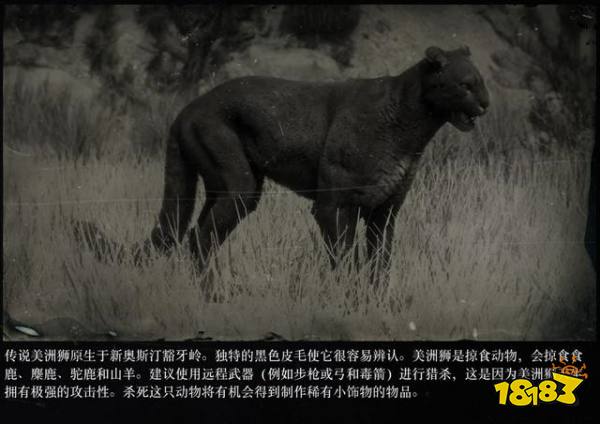 荒野大鏢客2傳說動物圖鑒 傳說動物打法大全