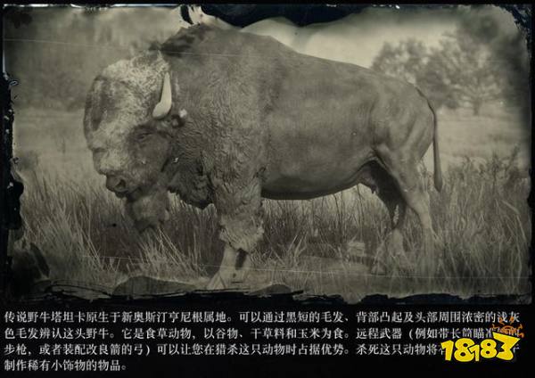 荒野大鏢客2傳說動物圖鑒 傳說動物打法大全