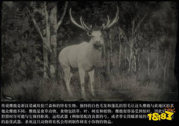 荒野大鏢客2傳說動物圖鑒 傳說動物打法大全