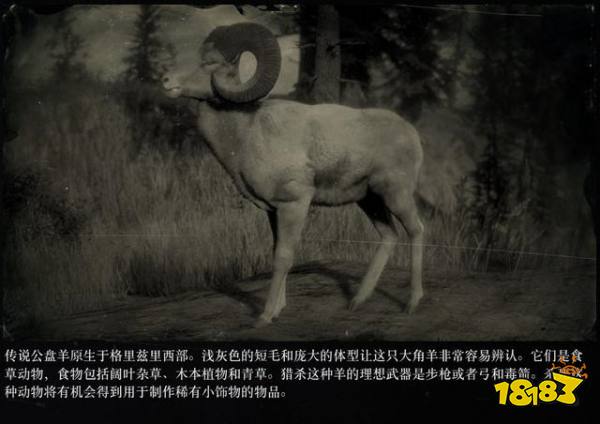 荒野大鏢客2傳說動物圖鑒 傳說動物打法大全