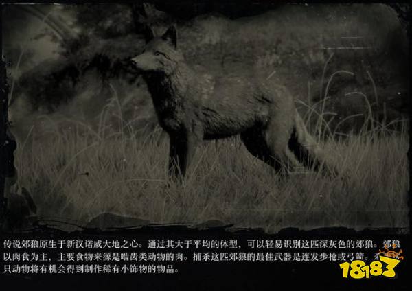 荒野大鏢客2傳說動物圖鑒 傳說動物打法大全