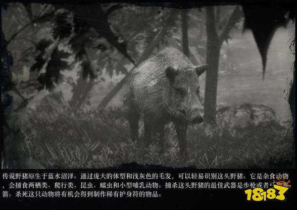 荒野大鏢客2傳說動物圖鑒 傳說動物打法大全