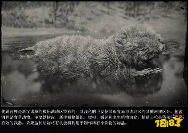 荒野大鏢客2傳說動物圖鑒 傳說動物打法大全