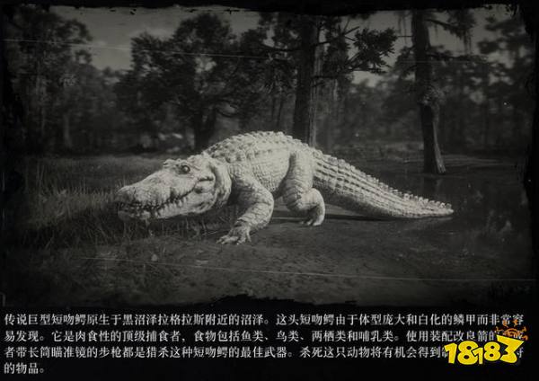 荒野大鏢客2傳說動物圖鑒 傳說動物打法大全