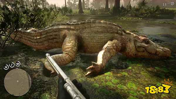 荒野大镖客2博物学家怎么升级快 博物学家升级技巧