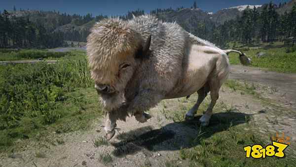 荒野大镖客2博物学家怎么升级快 博物学家升级技巧
