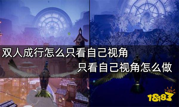 双人成行怎么只看自己视角 只看自己视角怎么做