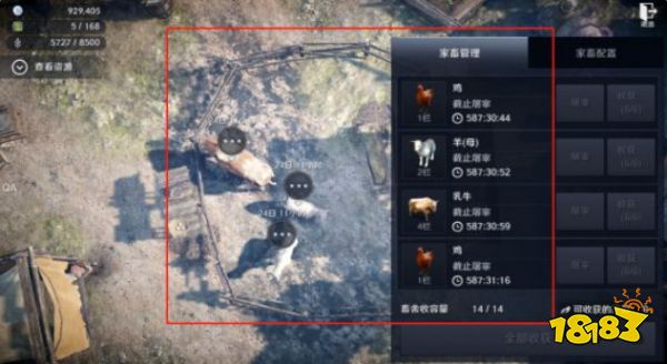 黑色沙漠手游领地生产怎么搭配 领地生产搭配推荐