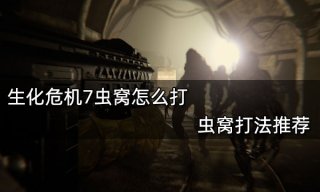 <b>生化危机7虫窝怎么打 虫窝打法推荐</b>