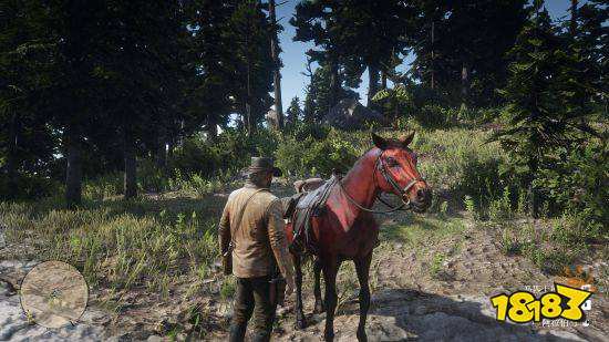 荒野大镖客2红色阿拉伯马位置在哪 红色阿拉伯马怎么找